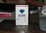hope.jpg